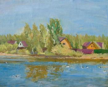 Cottages, seagulls (etude). Chernov Alexey