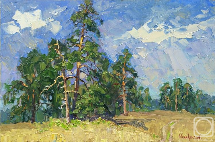 Vikov Andrej. Centuries-old pines