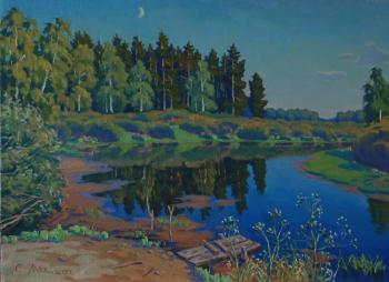Evening on the forest lake. Zhuk Sergei