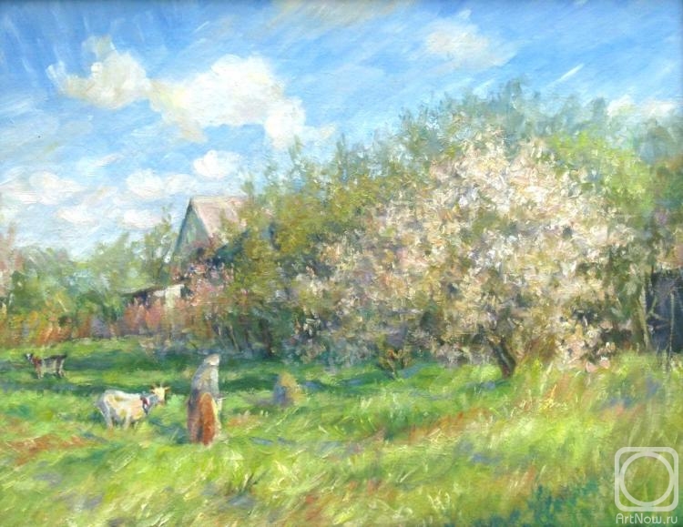 ������� ������ �� ������. ������� ��������. �������� ����