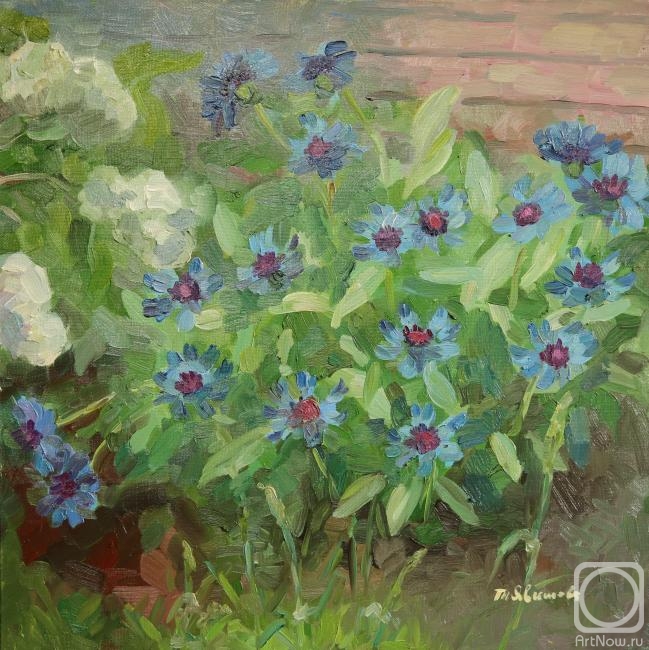 ������� ������ �� ������. ������� �������. ��������