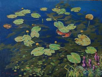 Water lilies. Zhuk Sergei