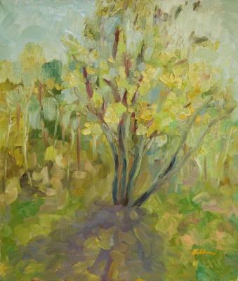 ������� ������