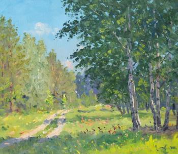Road in forest. Summer