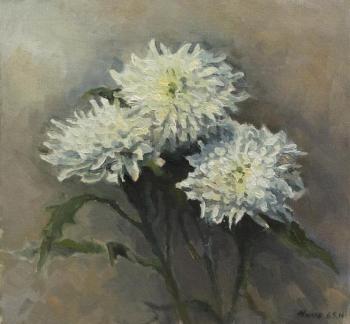 Chrysanthemums. Zhilov Andrey