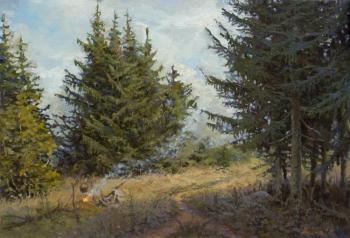 Between carotid firs. On a halt