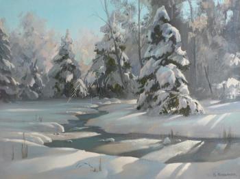 Winter forest. Kozyakov Boris