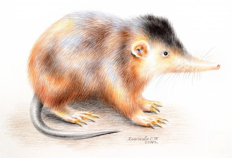 �������. �������� ��������. �������