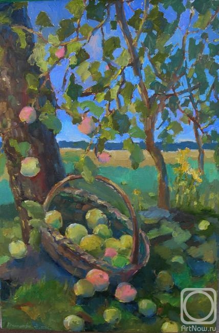 ������� ������ �� ������. ���������� �����. ������� � �������