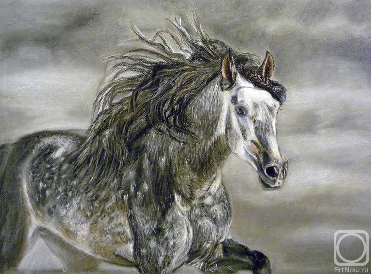 �������. ������ �����. �����