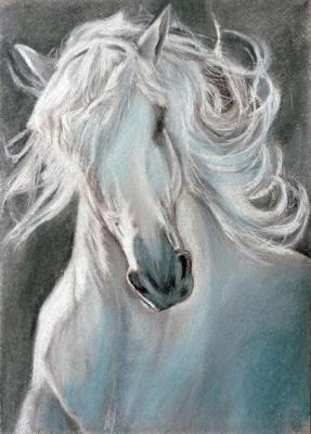 �����. ������ �����