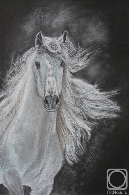 �������. ������ �����. ������