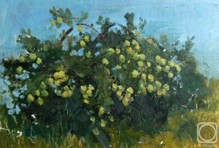 Chernov Alexey. Apple tree