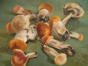 ������� �������������