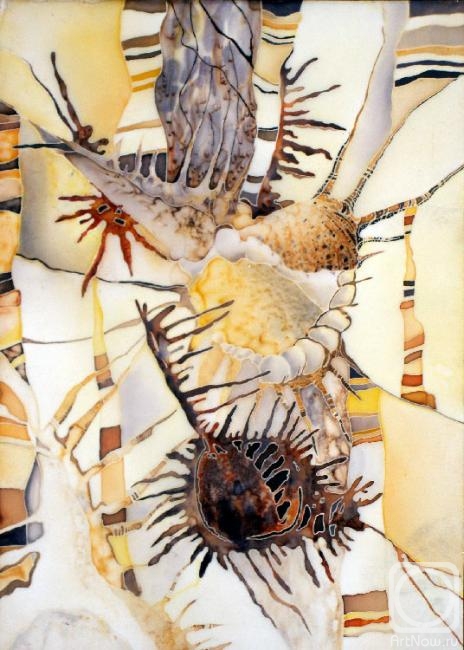 Kuharenko Kristina. Shells, course work