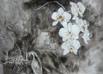 ������� ���������