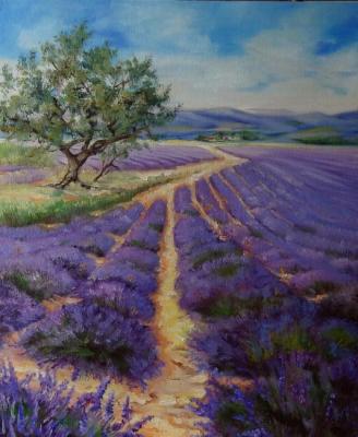 ����� ���������. �������� ��������