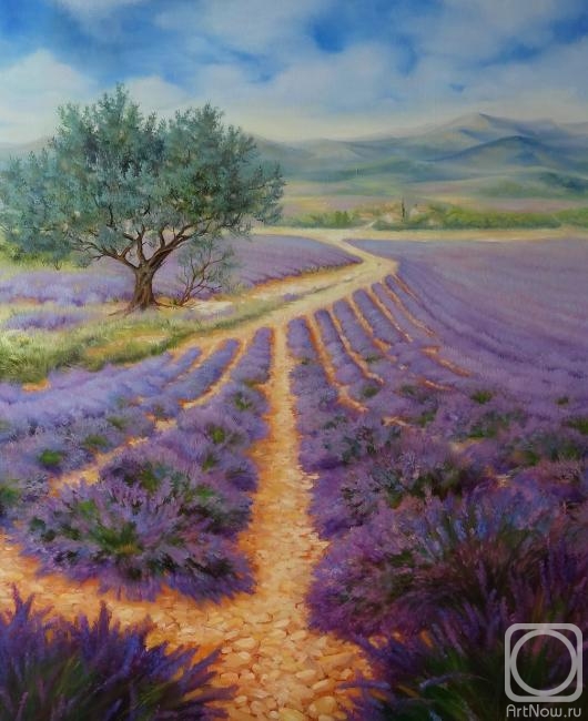 ������� ������ �� ������. �������� ��������. �������