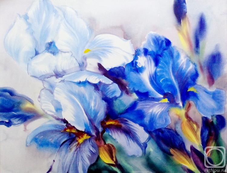 �������. ���������� ���������. �����. ����