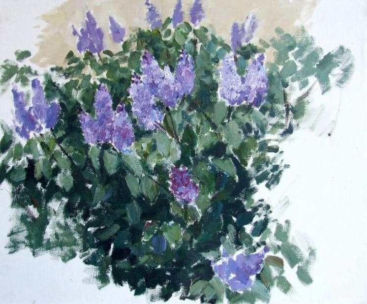 ������� ������ �� ������. ������ �������. ������