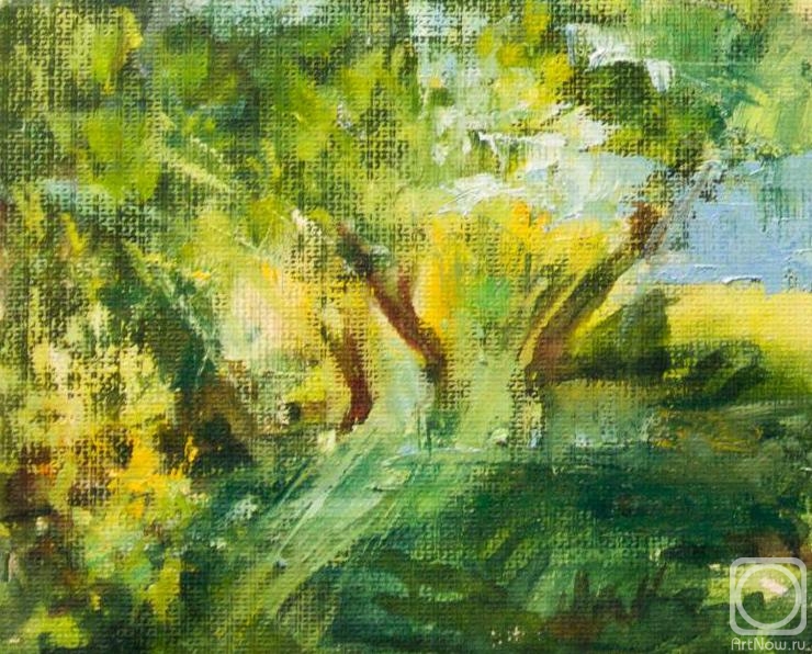 �������. ������ �������. ����