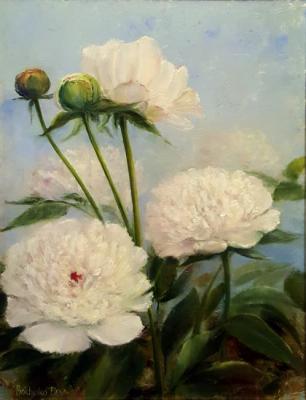 The sunny peony (In A Frame Of White Flowers). Boichenko Elena