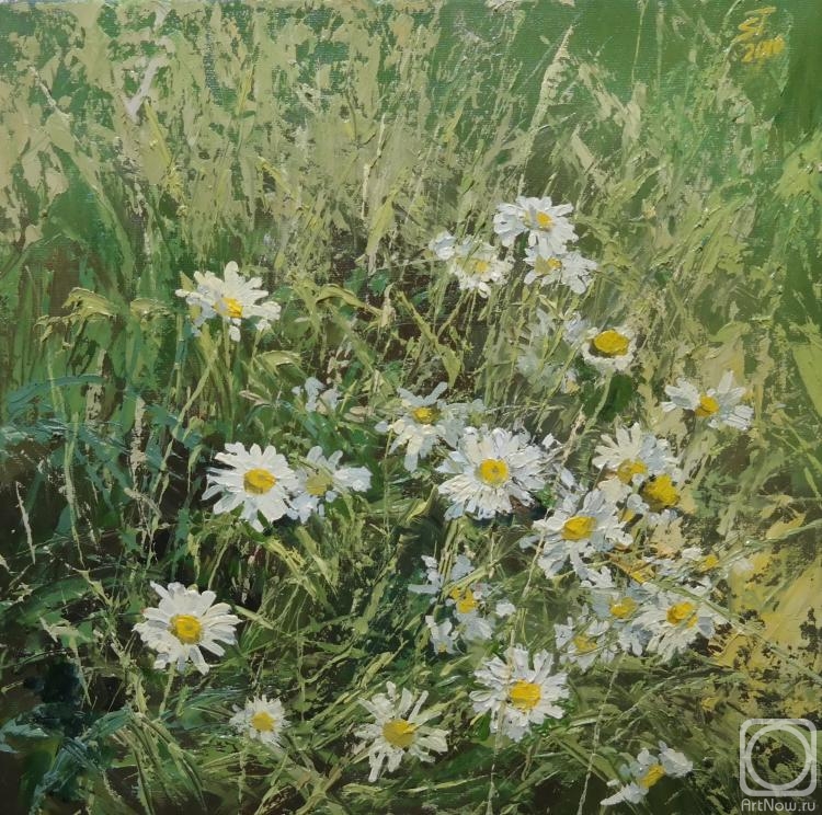 ������� ������ �� ������. ���������� ������. ��������