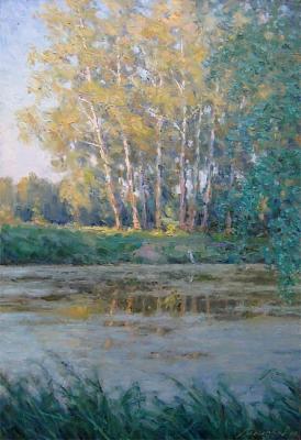 Overgrown pond. Gaiderov Michail