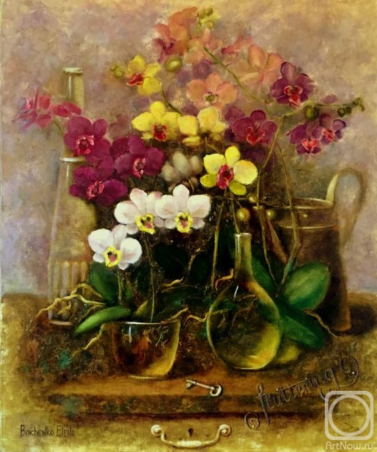 Boichenko Elena. The potted orchids