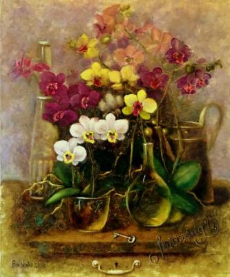 The potted orchids. Boichenko Elena