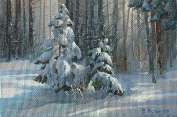 Christmas trees in the forest. Kozyakov Boris