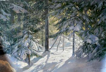 The sun in the winter forest. Kozyakov Boris