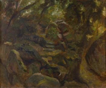 ������� ������������� ����. ������