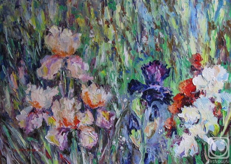 Kruglova Svetlana. Irises in the garden