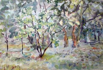 ������� ������� �����