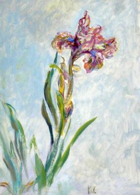 ���� ������. ����� ������