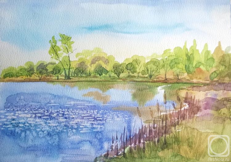 �������. �������� ������. �������� �����