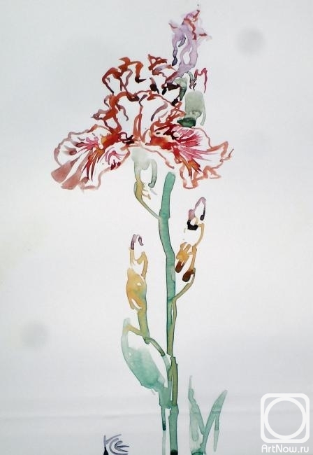 �������. ����� ������. ������� ����