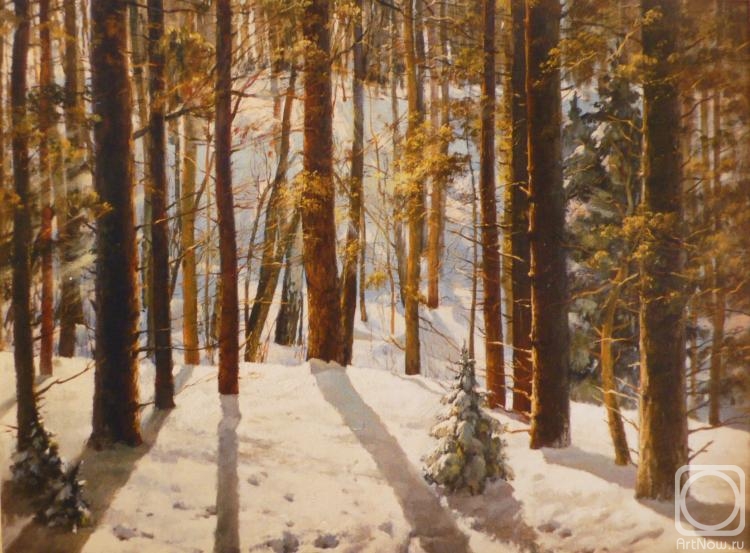 Kozyakov Boris. Winter forest in Yasnaya Polyana