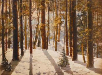 Winter forest in Yasnaya Polyana