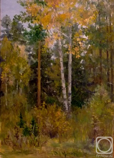 �������. ������� ������. ��� � �������