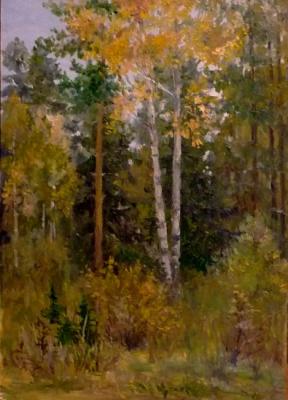 ������� ���� � ��������