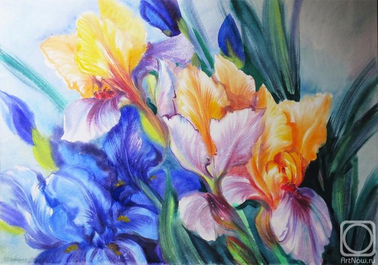 �������. ���������� ���������. ����� � ����