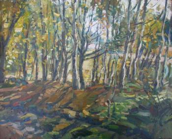 ������� ���������� ������� ���� ���������