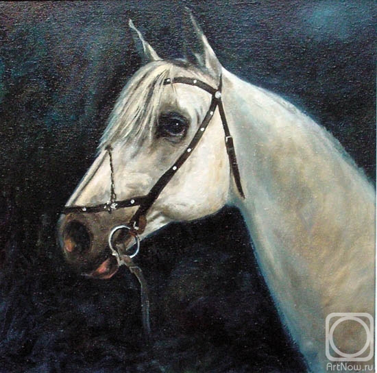 Shvedov Sergei. White Horse