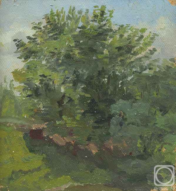 �������. ������ �����. ������ ����� (����)