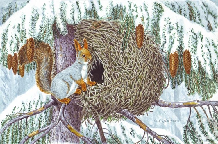 Fomin Nikolay. Squirrel nest