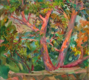 ������� ��������� � ��������� ������