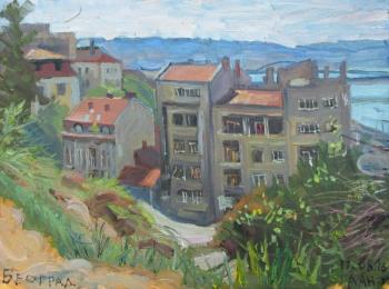 Painting Belgrade. Dobrovolskaya Gayane