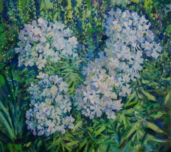 ������� ��������